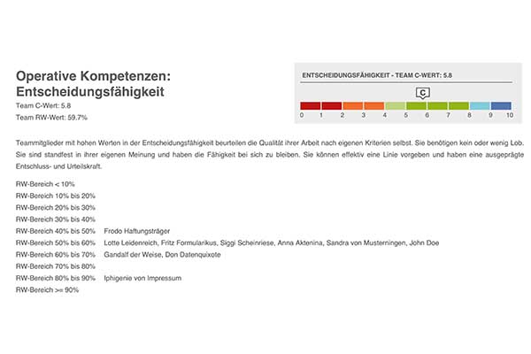 Team Führung Beispielreport