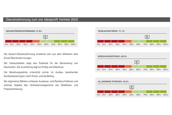 Team Vertrieb Beispielreport
