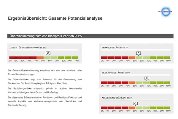 Vertrieb Beispielreport
